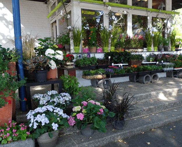 Aussenansicht des Floral Pavillons